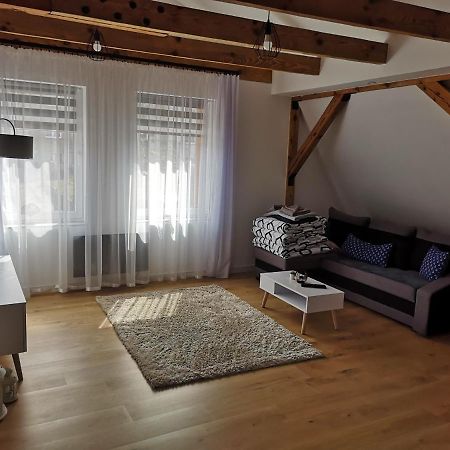 מידזיזדרויה Apartament Attic מראה חיצוני תמונה