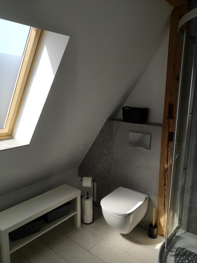 מידזיזדרויה Apartament Attic מראה חיצוני תמונה