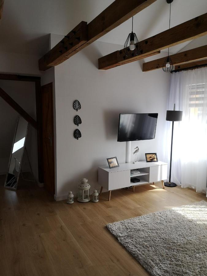 מידזיזדרויה Apartament Attic מראה חיצוני תמונה